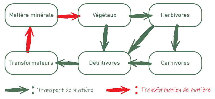 cycle de la matière
